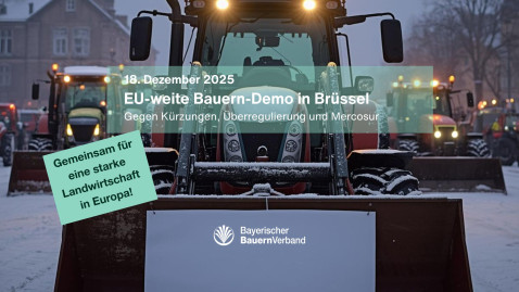 Aufruf zur Demo in Brüssel am 18. Dezember 2025 