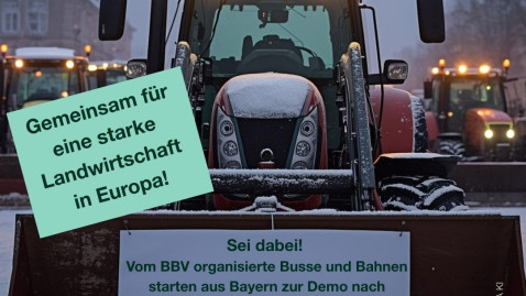 Eu-weite Demo in Brüssel