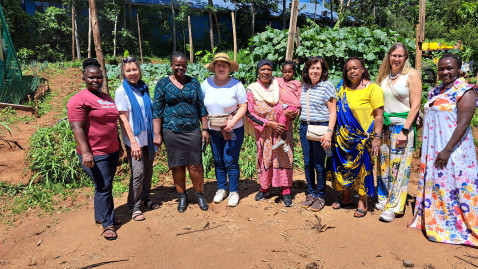 Landwirtschaftlicher Betrieb