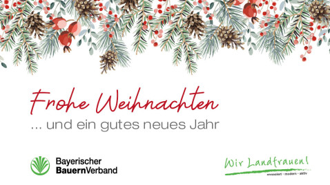 Mailbild Weihnachten 2025