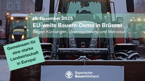 Demo Aufruf nach Brüssel am 18. Januar 2025 mit Bildern von Traktoren
