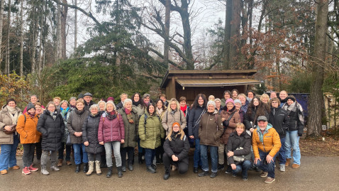 Waldweihnacht Halsbach