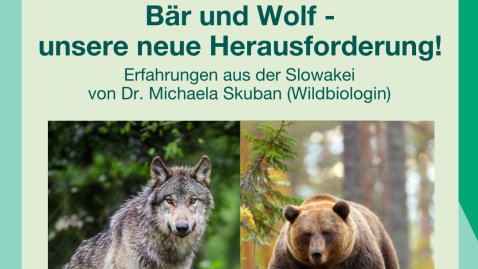 Bär und Wolf
