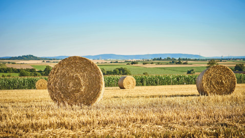 Tag des offenen Hofes