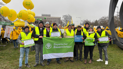26_01_20 Demo gegen Mercosur und GAP-Budget für Bürokratieabbau in Strassburg