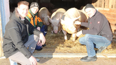 Pressetermin Schweinehaltung