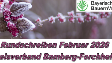 Rundschreiben 02/2026