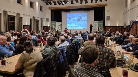 Vortrag Wolf und Bär