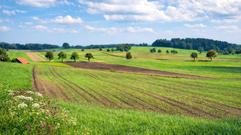 Bayerische Hügellandschaft