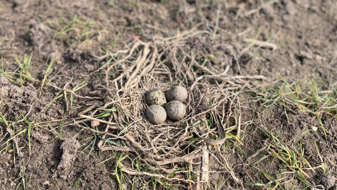 Pressetermin Artenschutz