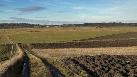 Äcker und Wiesen bei RöttenbachLeutershausen Dietmar Herold