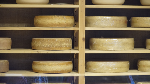 Käse