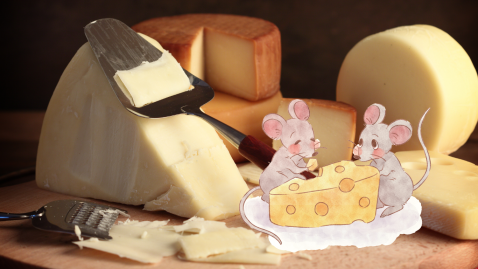Käse