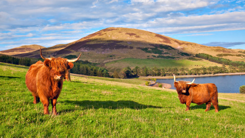 Flugreise nach Schottland - Sagenumwobenes Land der Highlander