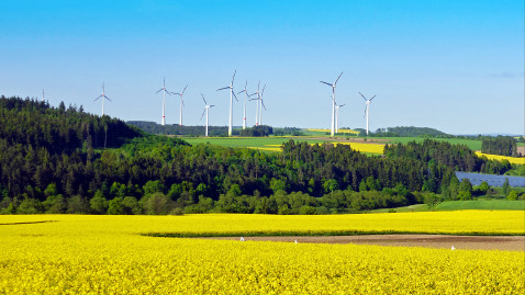 Raps-Windrad-Bild im Hofer Land