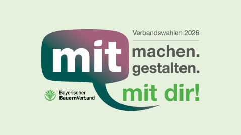 Claim Verbandswahlen "mitmachen.mitgestalten.mitDir!