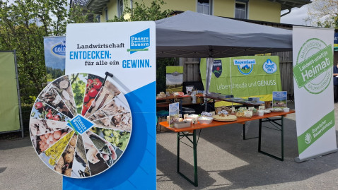 Infostand mit Käseverkostung