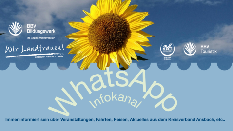Homepage WhatsApp