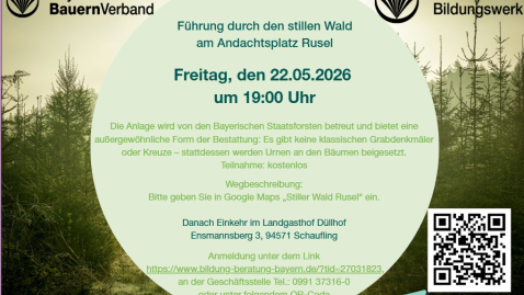 Führung durch den stillen Wald 