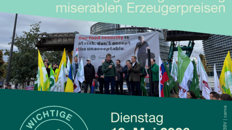 Gemeinsame Protestaktion am 19. Mai 2026 in Straßburg 