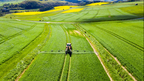 Düngung Mineraldünger David Brown/adobestock.com