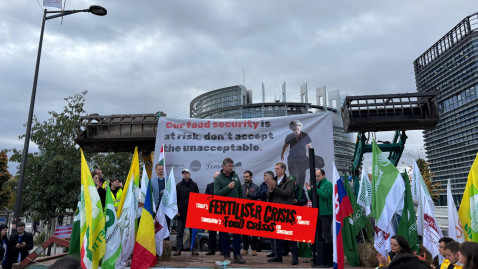 Bild Demo in Straßburg mit Bühne, Flaggen und Demonstrierenden