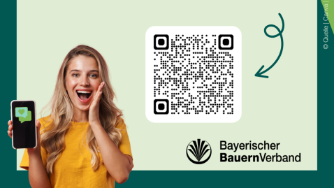 WhatsApp-Kanal