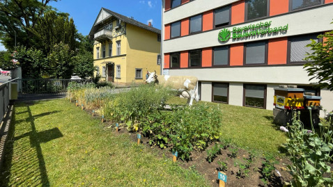 Kulturbeet
