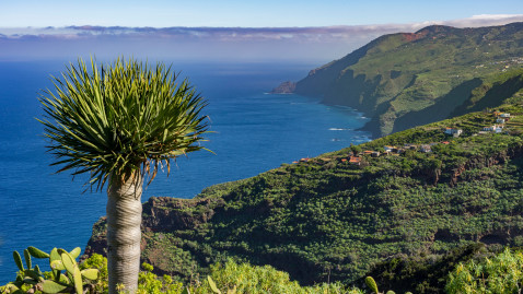 La Palma 