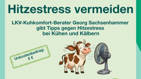 Hitzestress vermeiden