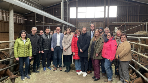 Landratskandidaten mit Kreisvorstandschaft beim Stallgespräch