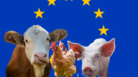 EU-Nutztierhaltungstrategie