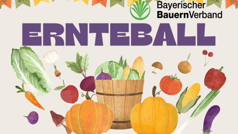 Plakat Ernteball 2026
