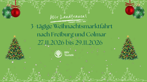 Titelbild Website Freiburg Colmar