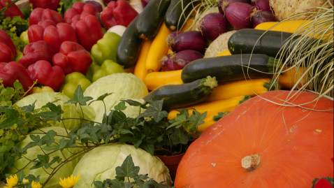 Kürbis_Herbst_Bild