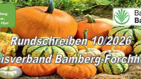 Rundschreiben