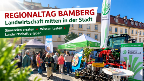 Regionaltag Bamberg 2026