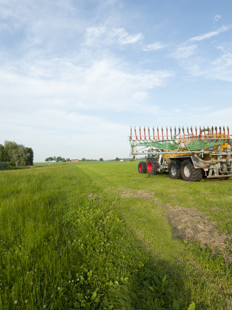 Ein Traktor mit Güllefass auf einer Wiese. 