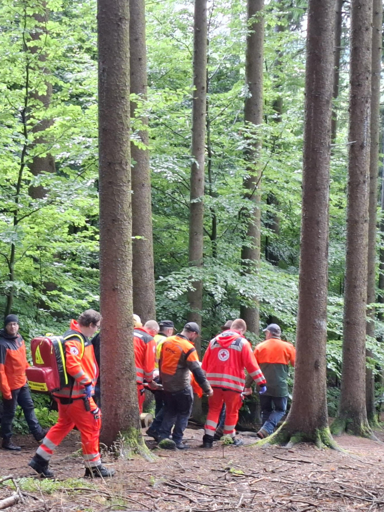 Rettungsübung im Wald