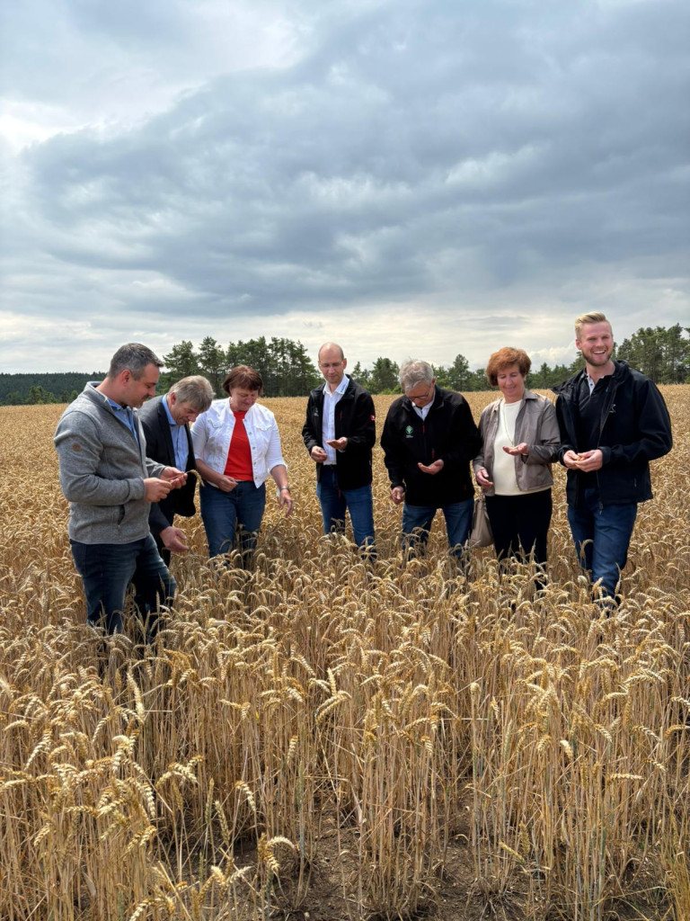 Teilnehmer auf Weizenfeld