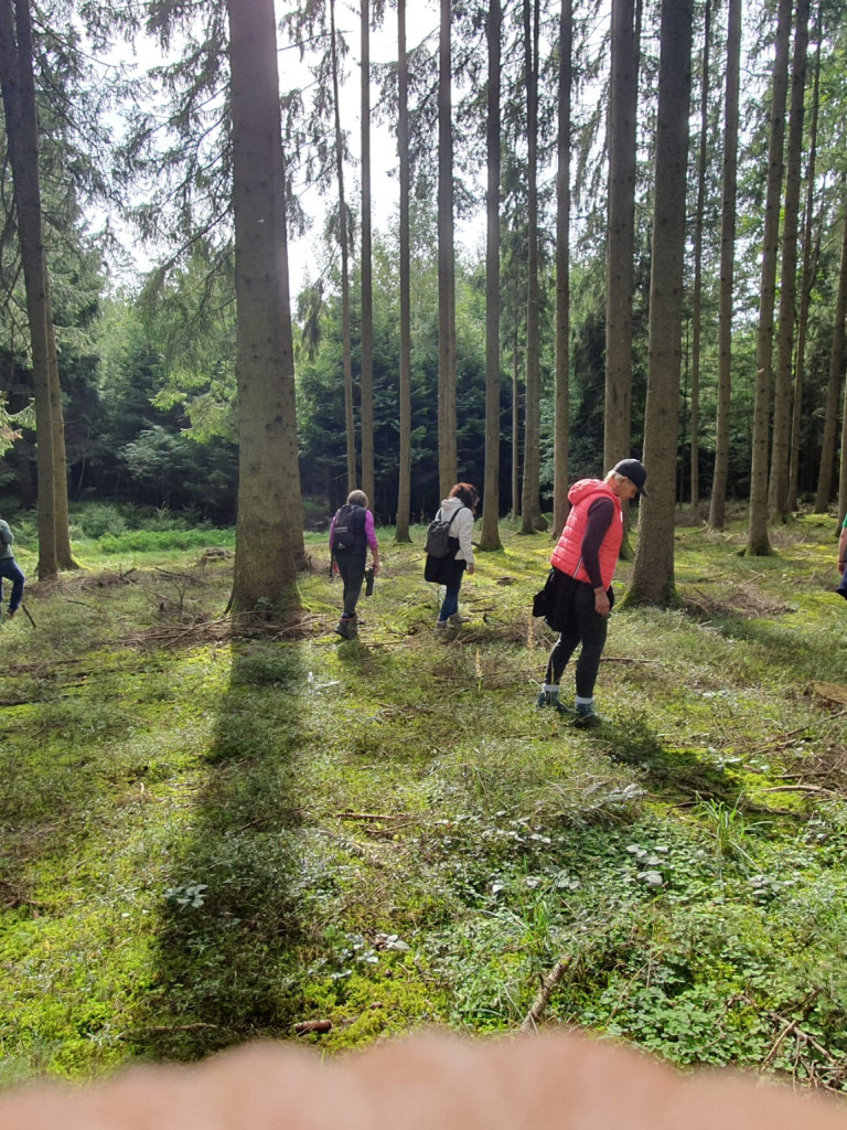Waldbaden für Landsleut