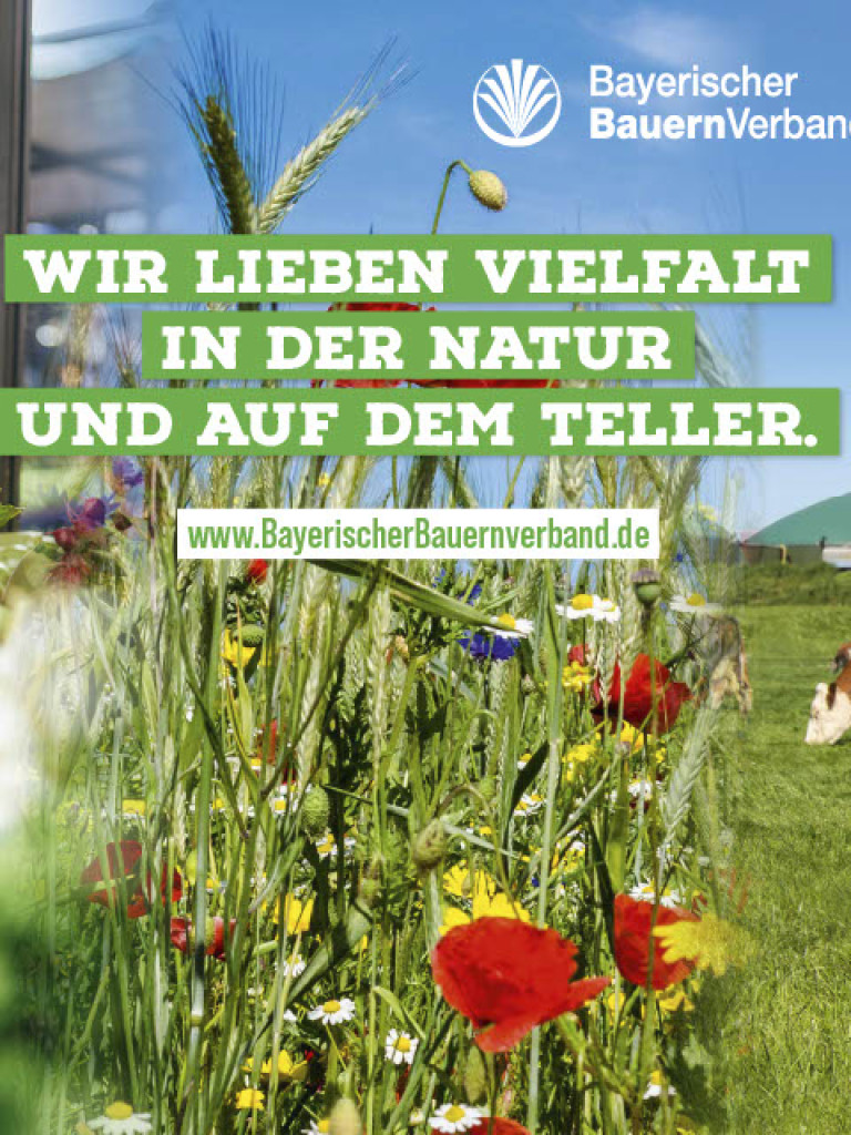 Mainfranken Messe 2025 Banner