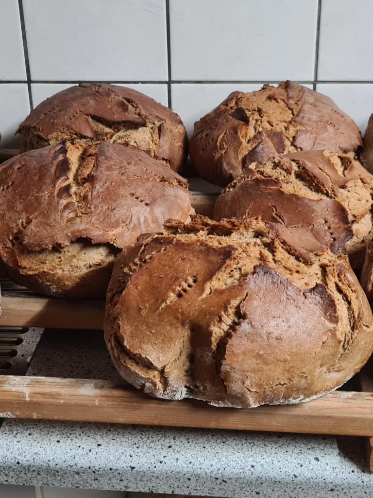 2025 Brotbackkurse WM-SOG