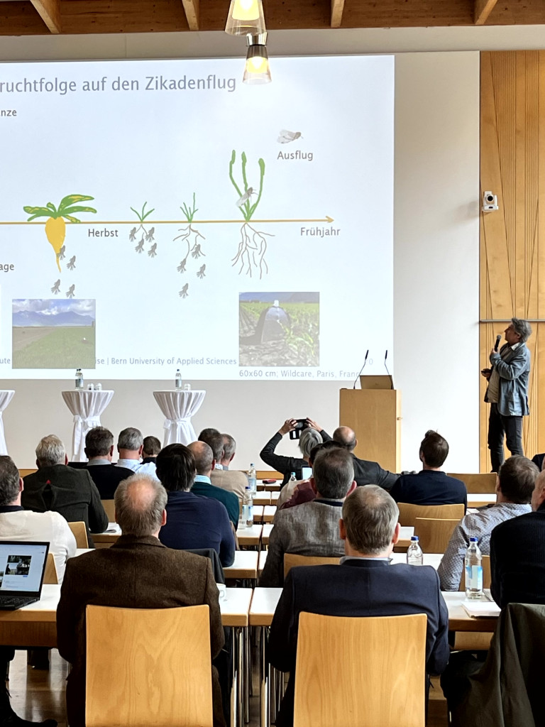 präsentation einer Person vor Zuhörenden 