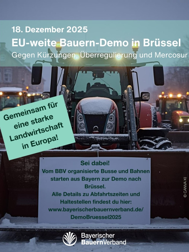 Eu-weite Demo in Brüssel