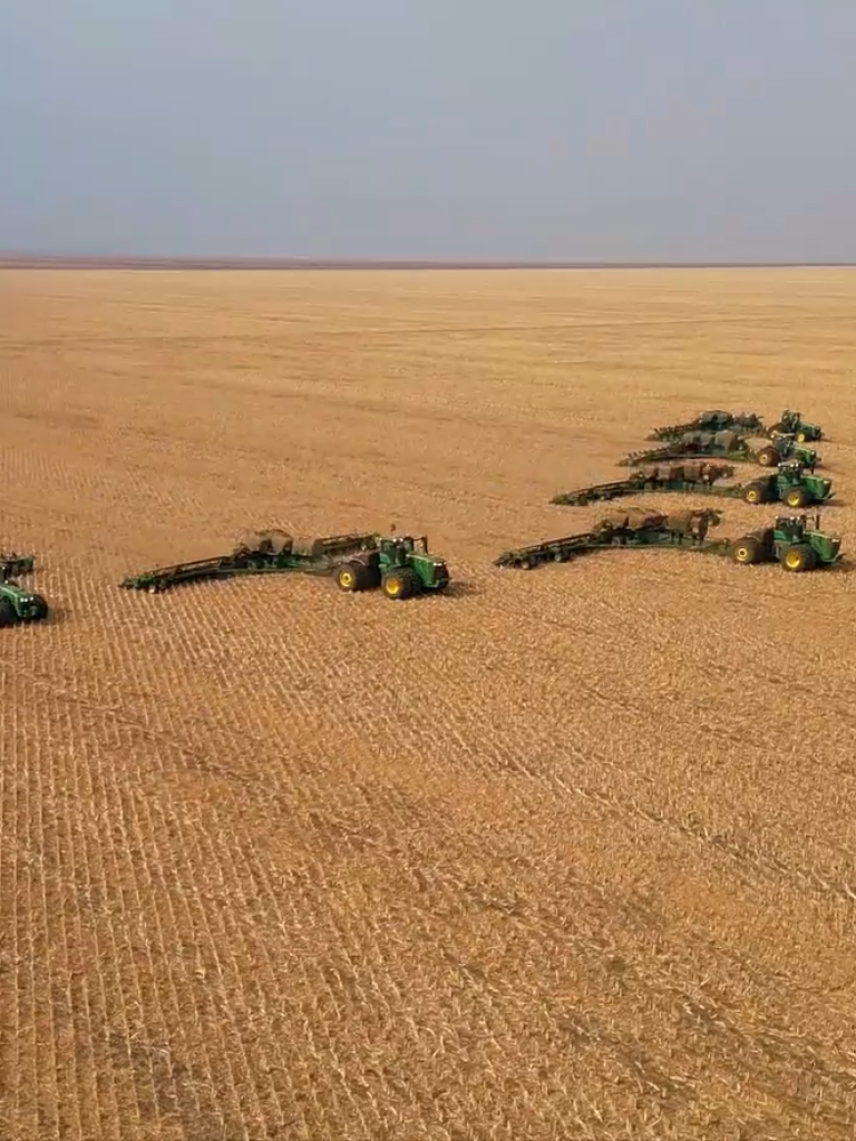 Direktsaat Brasilien 2025