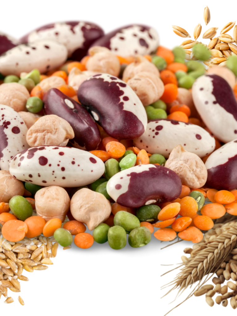 Hülsenfrüchte