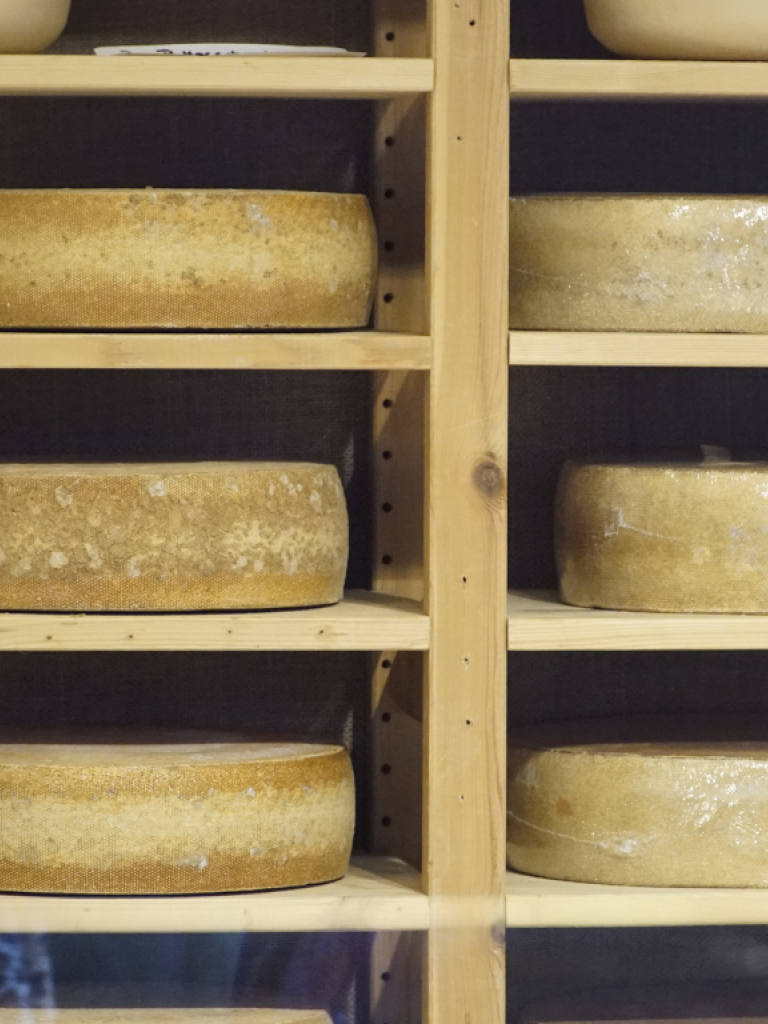 Käse