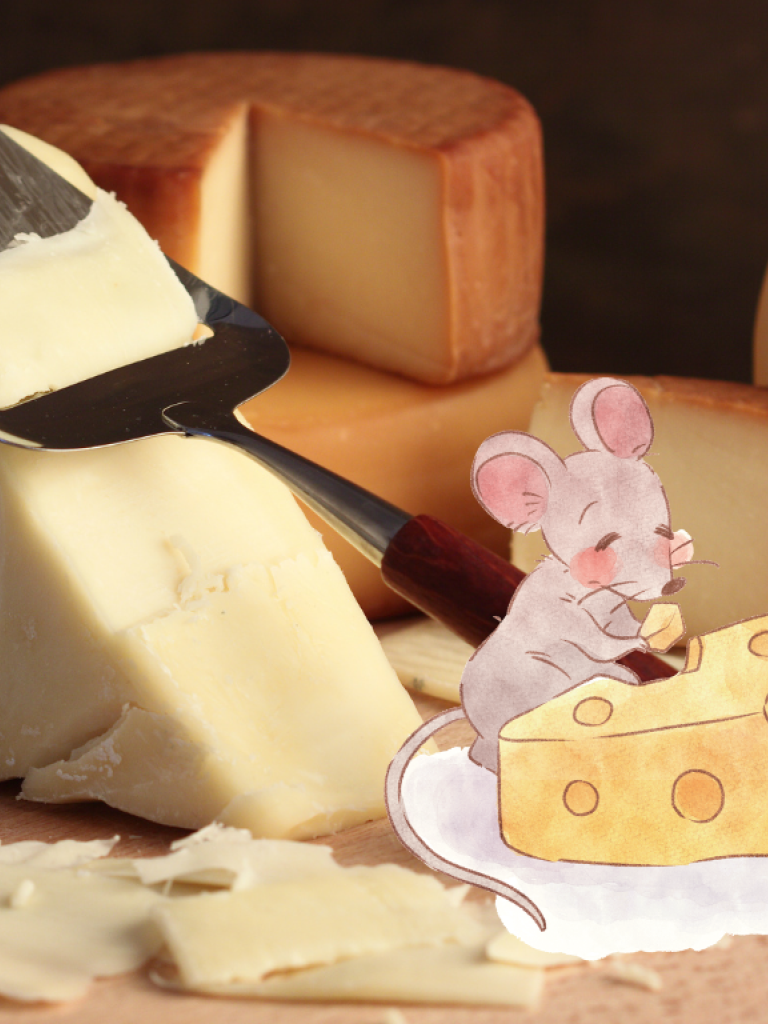 Käse