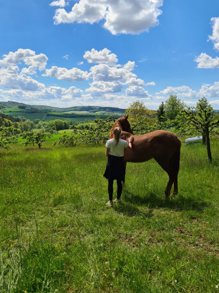 Pferd